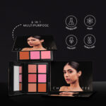 Cheek palette (1)