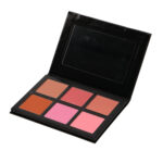 Cheek palette (1)