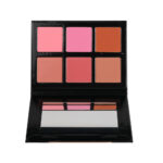 Cheek palette (1)